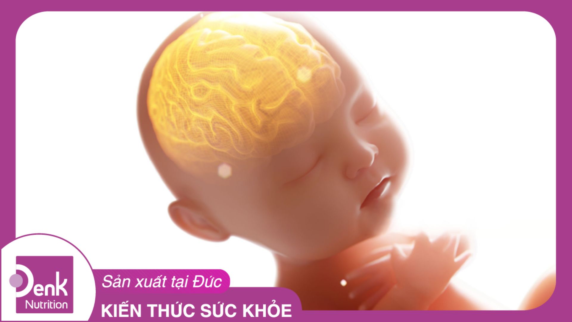 Mẹ cần bổ sung DHA cho bé trong giai đoạn nào để trí não được phát triển tốt nhất?