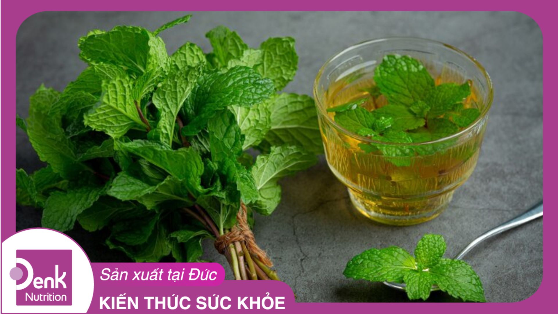 Tía tô đất có tác dụng gì?