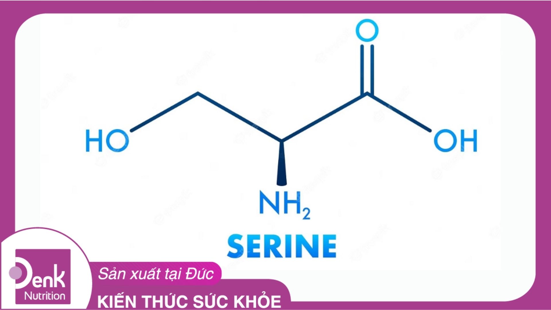 L-serine là gì? Tác dụng của L-serine với cơ thể