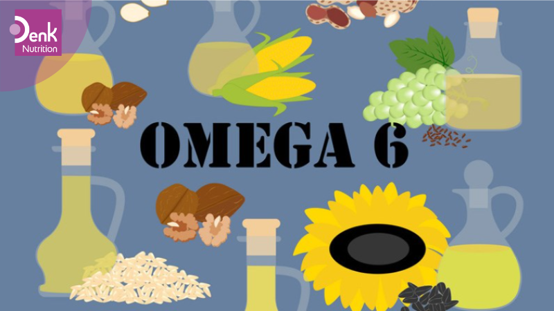 Công dụng Omega 6 là gì?