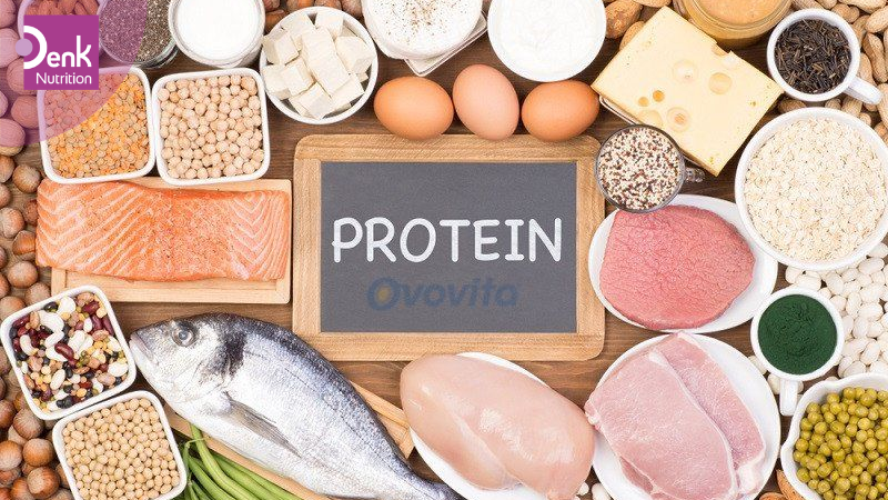 Protein