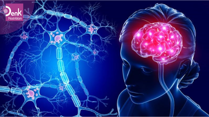 Chức năng của Omega 3 đối với cơ thể