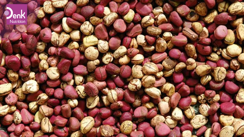 3. Hạt Kola