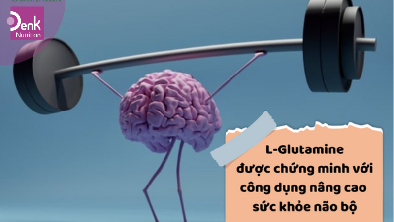 Hỗ trợ tăng cường sức khỏe não bộ