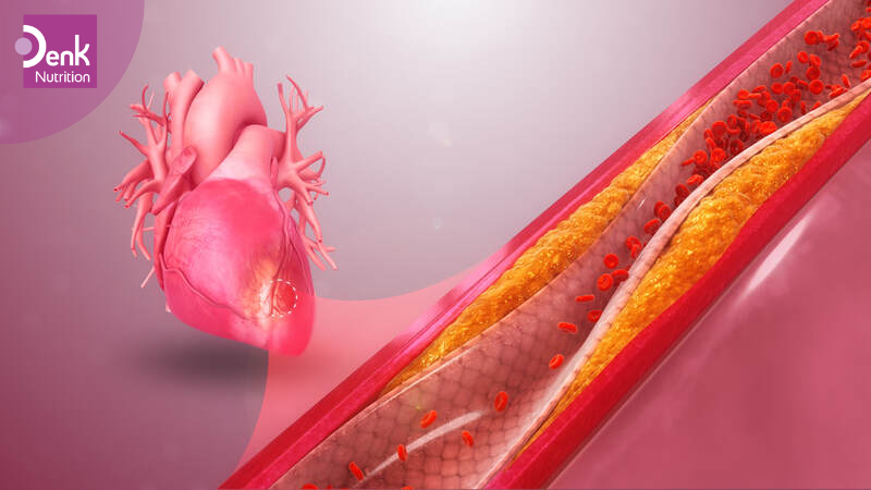 Làm giảm độ lipid trong máu