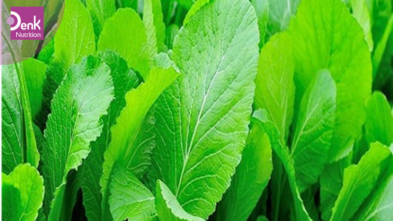 Cải bẹ xanh