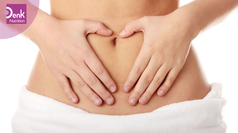 Hỗ trợ hệ tiêu hóa