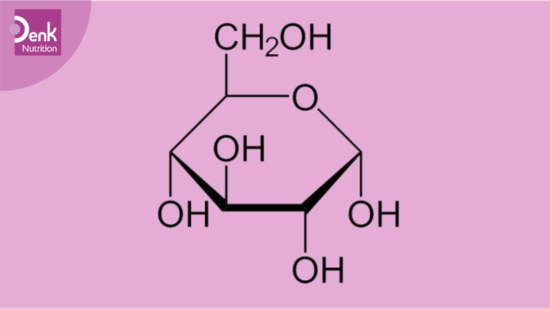 Glucose đóng vai trò rất quan trọng trong mọi hoạt động sống của thể