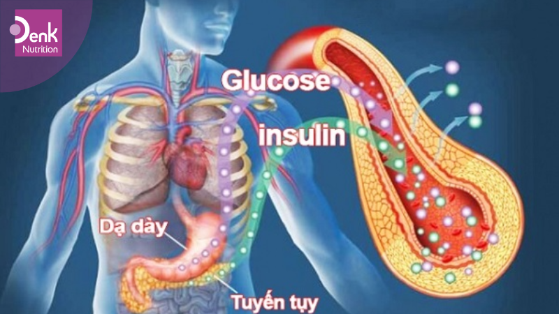 Tác dụng phụ khi nạp nhiều đường Glucose