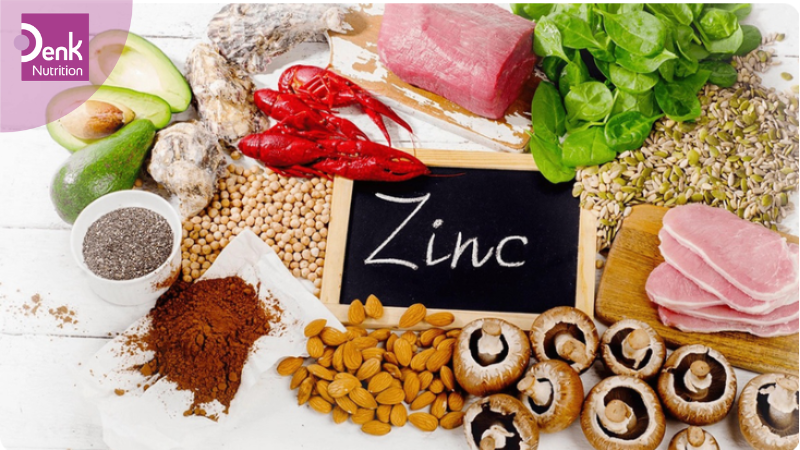 Thực phẩm chứa nhiều kẽm bao gồm