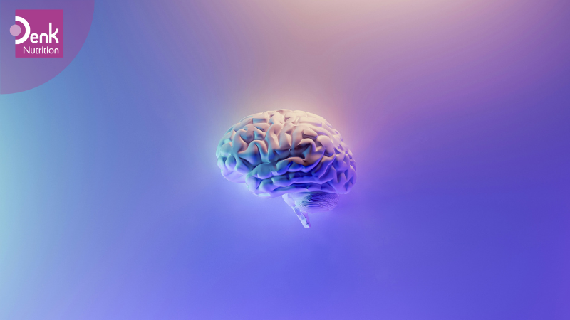 L-tryptophan là tiền chất cấu tạo nên serotonin