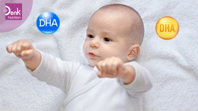 DHA là gì?