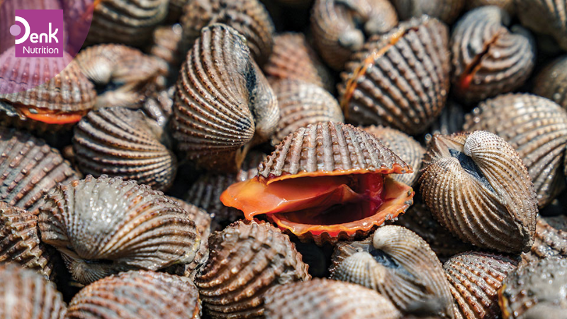 Các động vật có vỏ như nghêu, sò, ốc