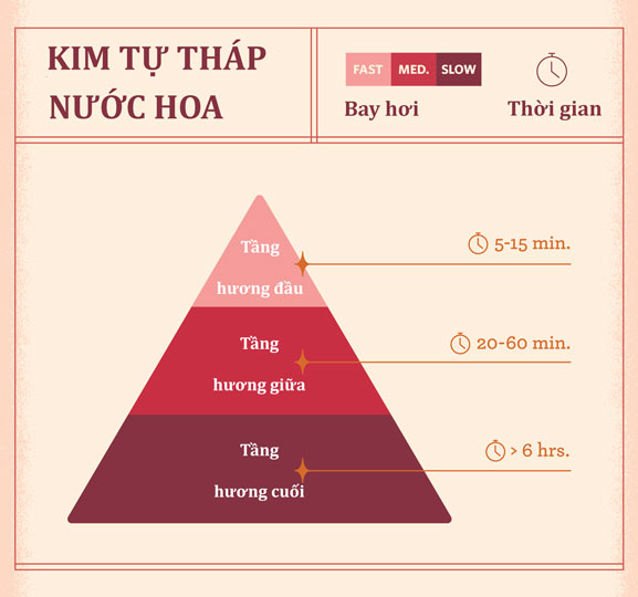 Kiến thức về nước bông