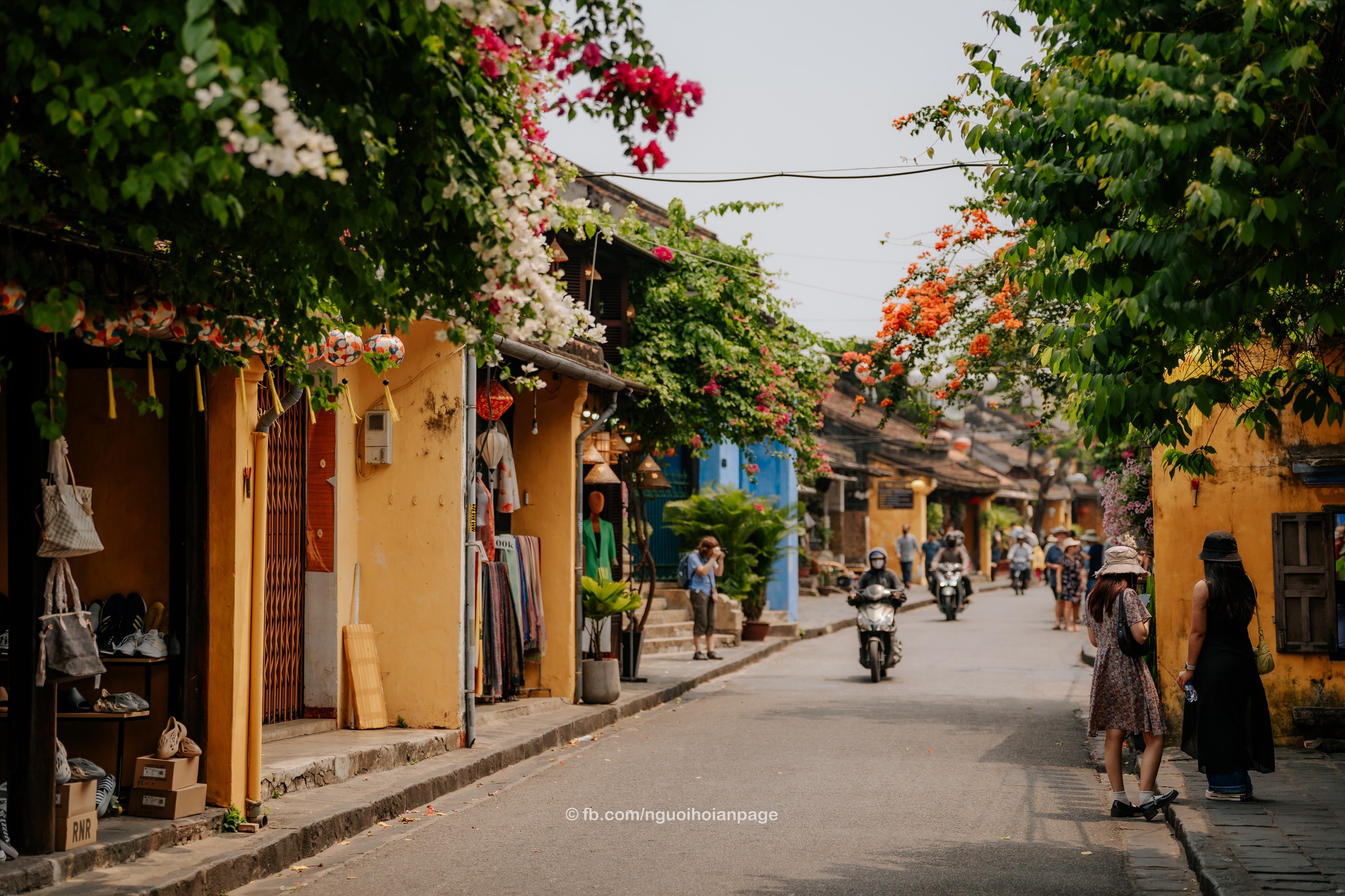 C011 - DA NANG - HOI AN - CHAM ISLAND 5D4N