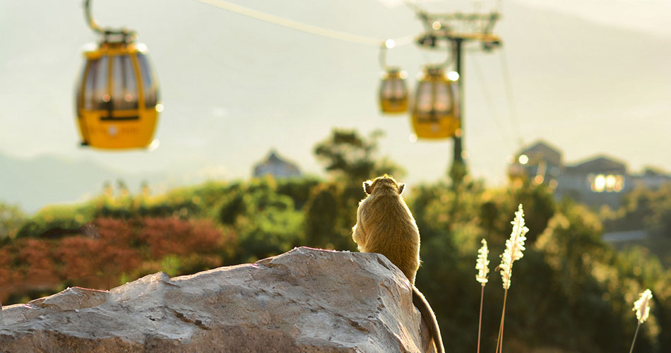 VN003 - HO CHI MINH - DA NANG 7D6N