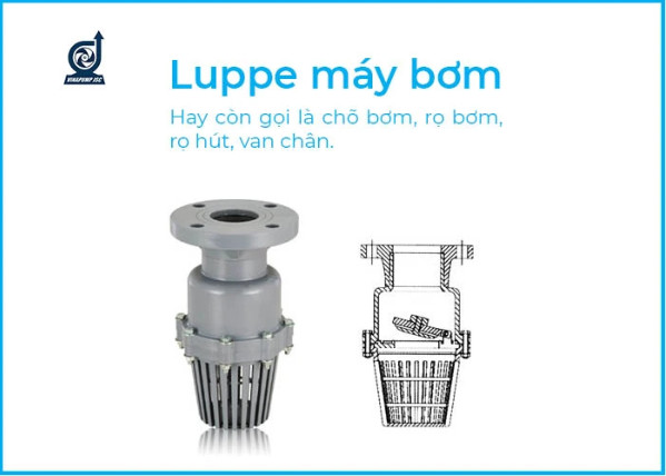 Luppe là gì? Cấu tạo Luppe và phân loại Luppe máy bơm