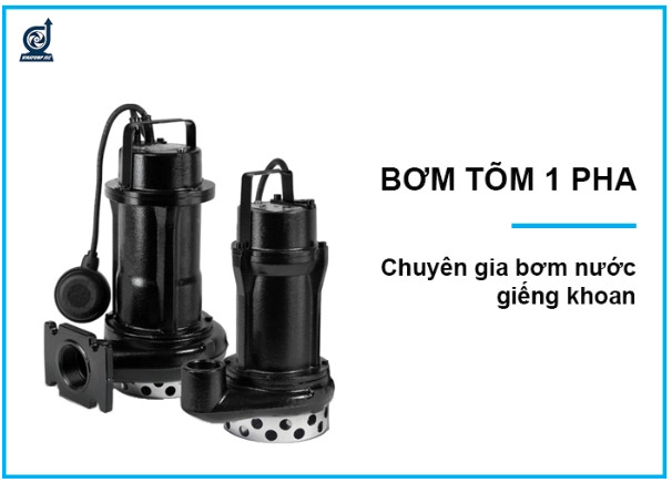 Bơm tõm 1 pha là gì? Giá máy bơm tõm 1 pha chính hãng?