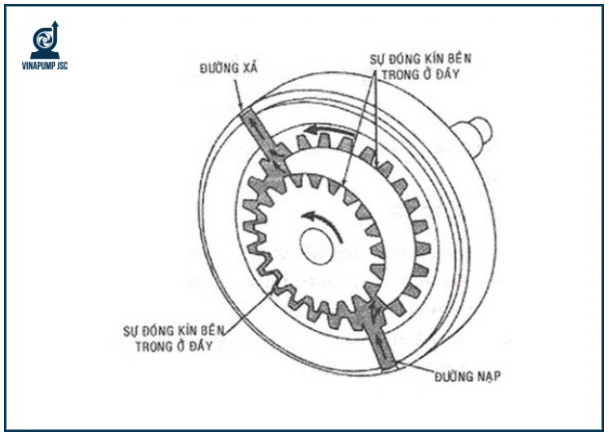 Bơm bánh răng ăn khớp trong: Cấu tạo, nguyên lý, ứng dụng