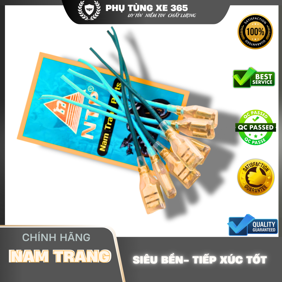 Gim kèn Nam Trang- NTP