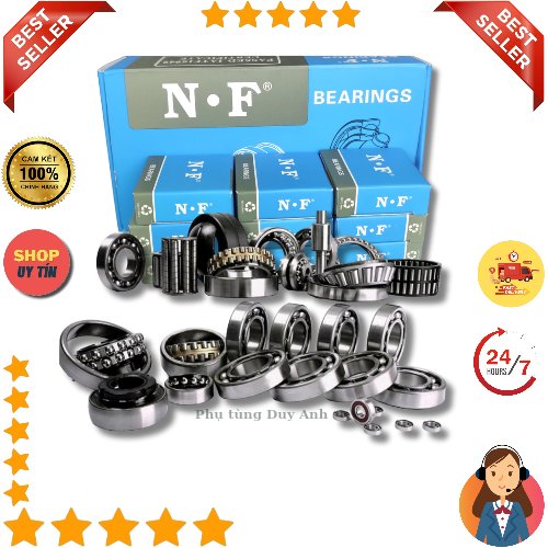 BI 6004NF