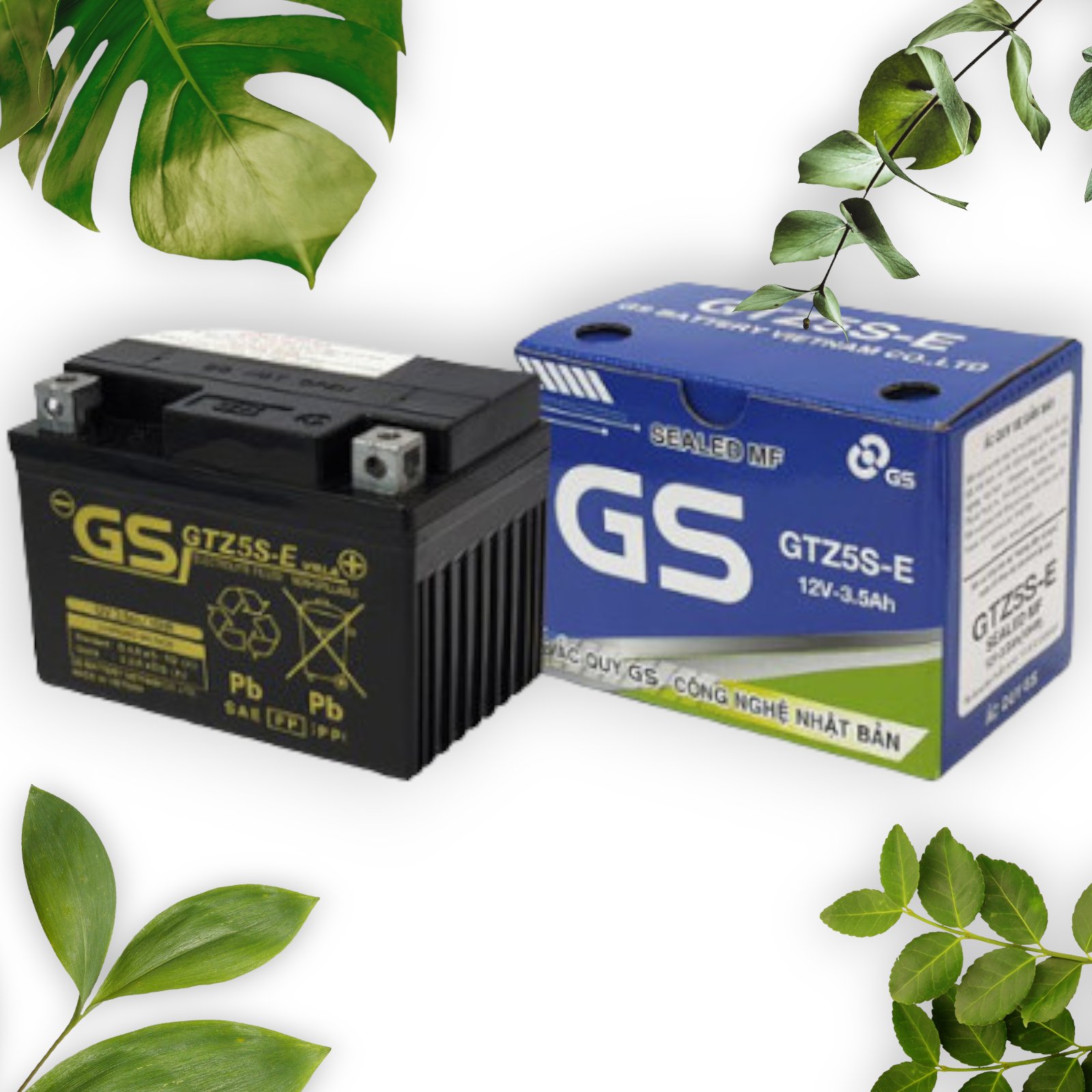 GS xanh thấp 5S