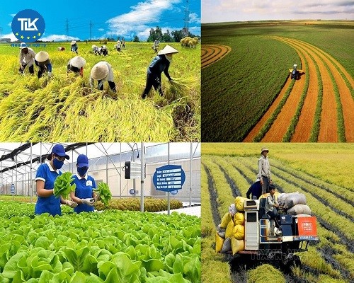 what-is-a-work-visa-what-are-the-conditions-for-applying-for-a-work-visa-for-foreign-workers