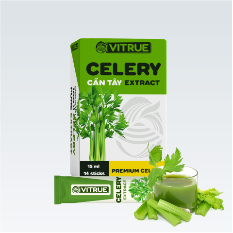 vitrue-celery-can-tay