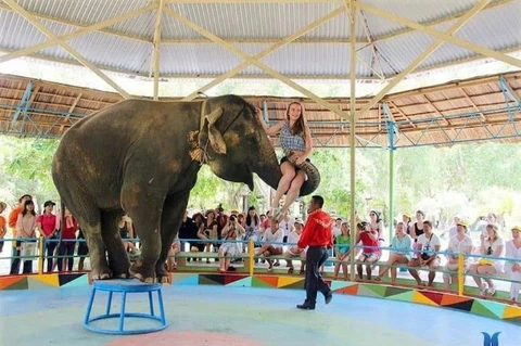 TOUR ĐẢO KHỈ NHA TRANG