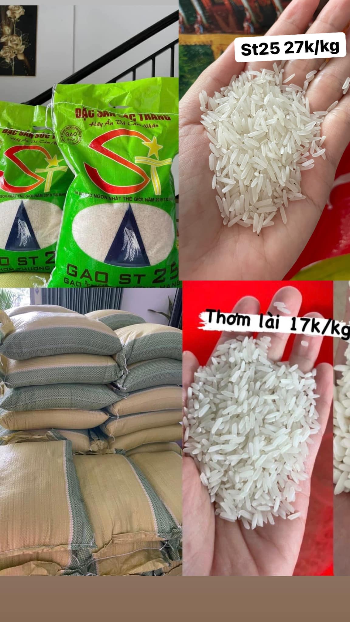 Shop Trái Cây Thùy Linh A6 0040 787 211 298