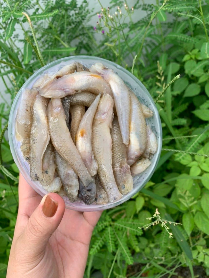 Đặc Sản Miền Tây - Huỳnh Như B1 0942977497