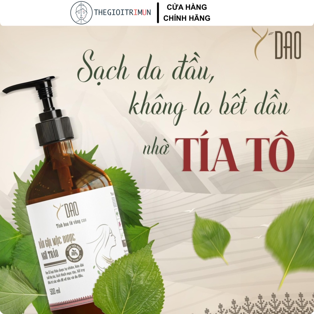 Dầu gội Mộc Dược Ngũ Trảo