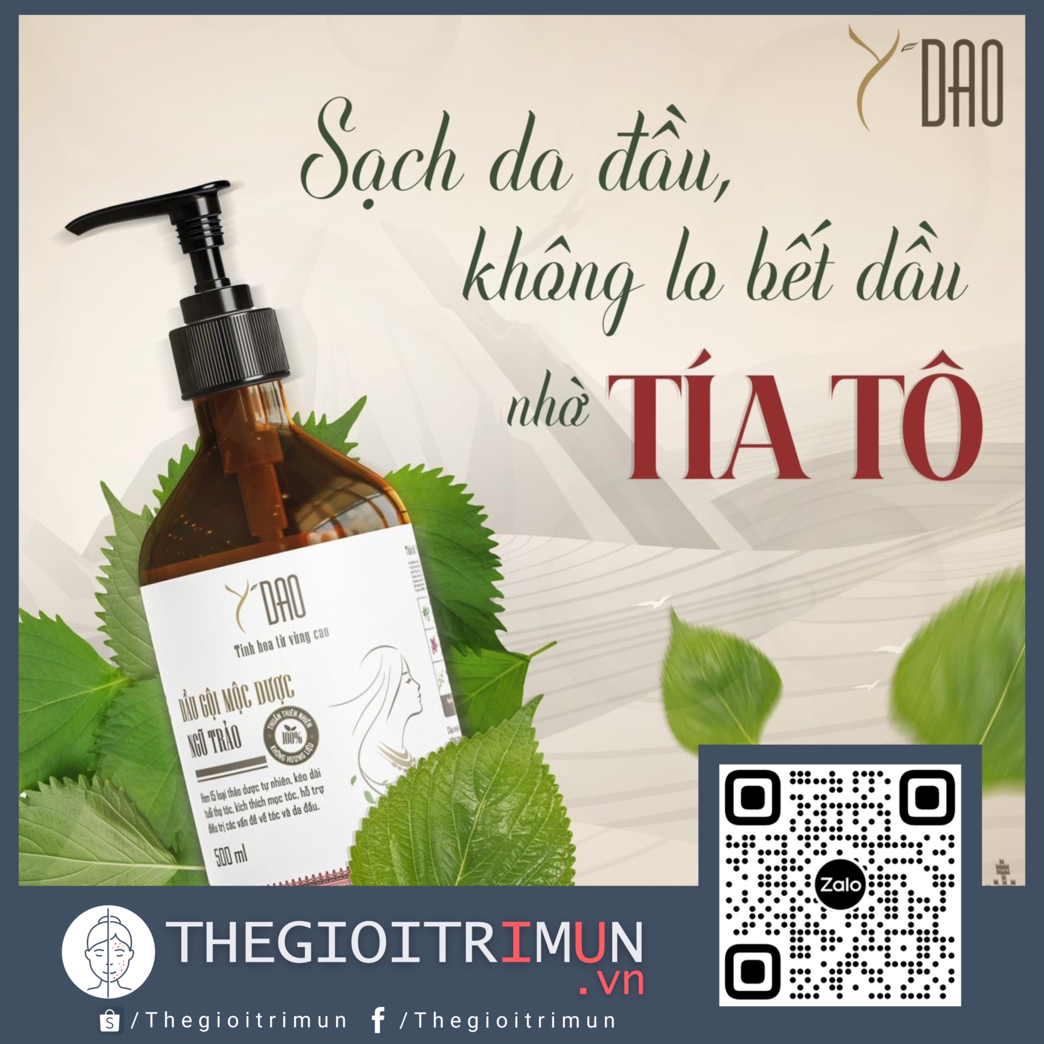 Dầu gội Mộc Dược Ngũ Trảo
