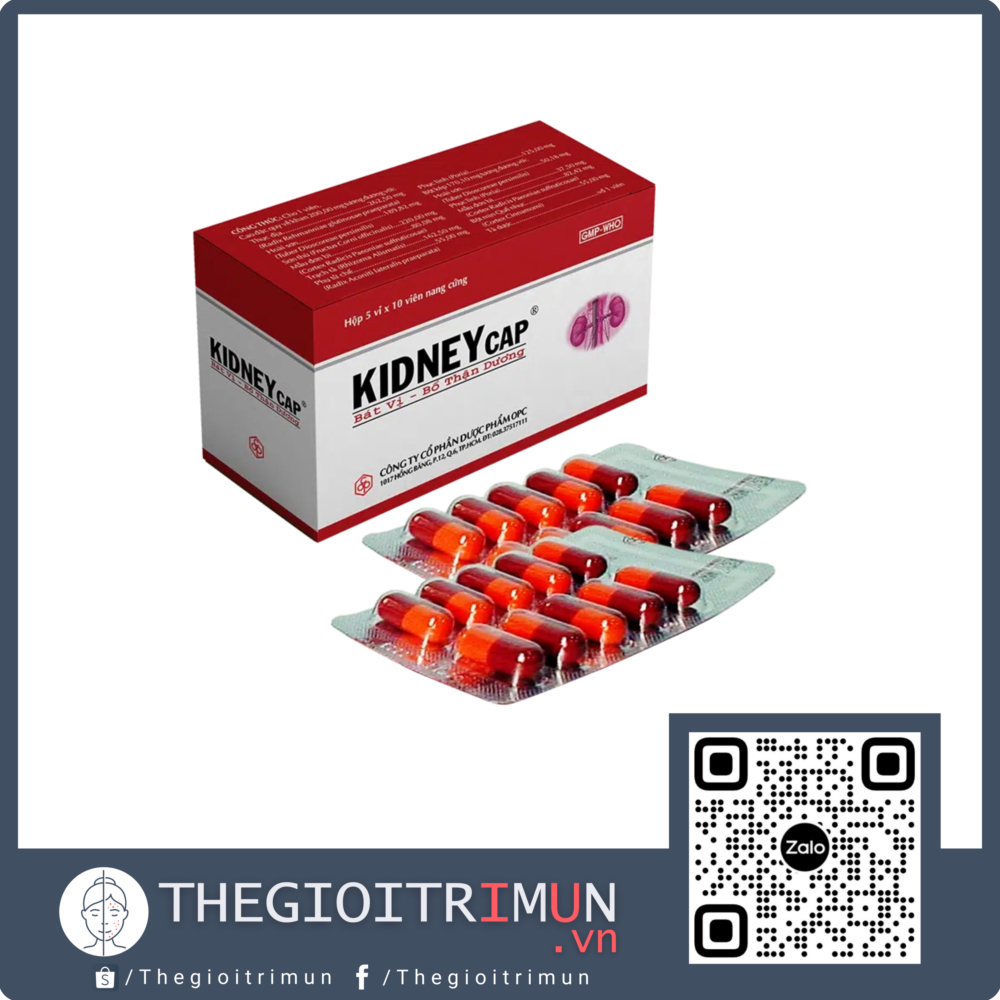 Thuốc Kidneycap OPC bát vị, bổ thận dương dùng cho người váng đầu, ù tai