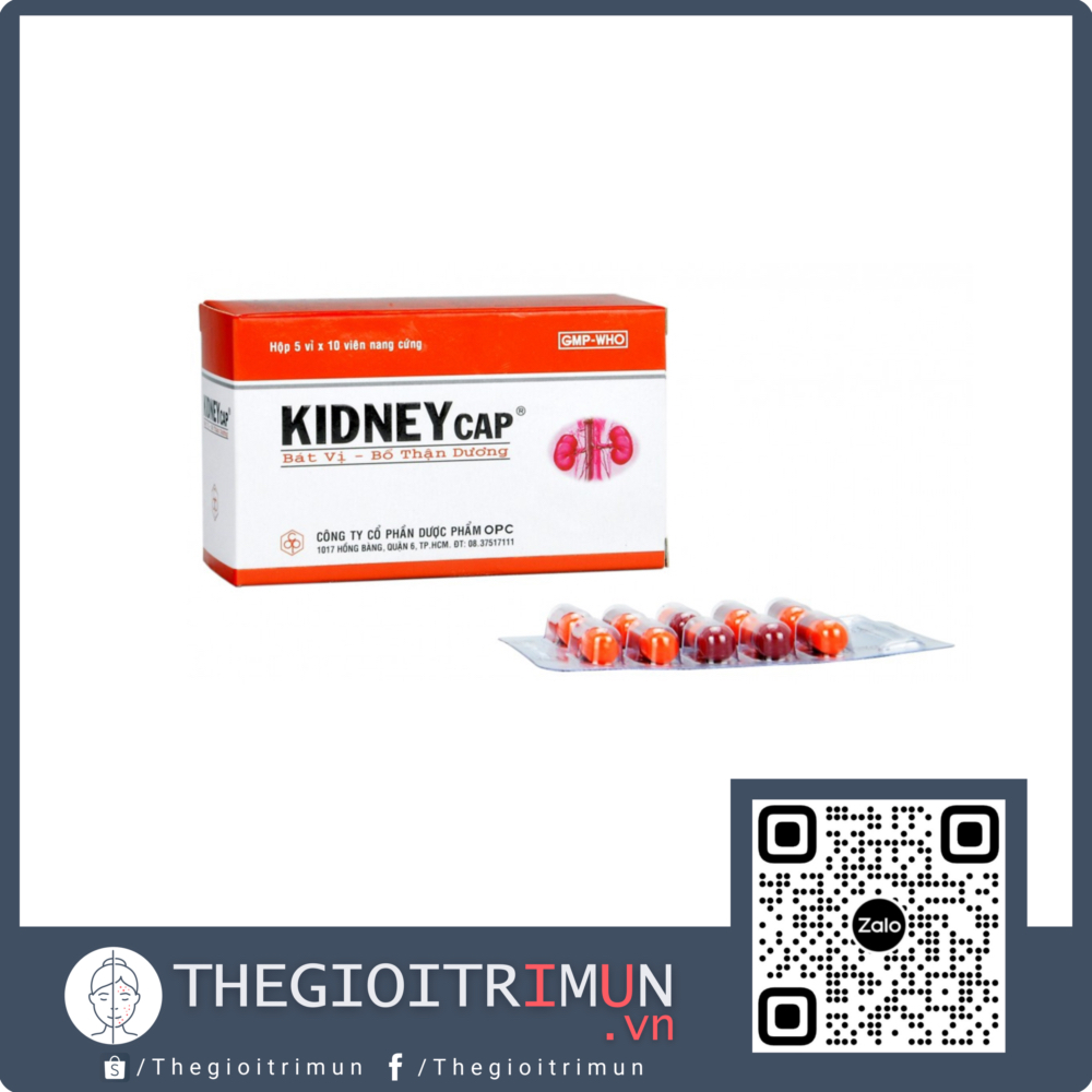 Thuốc Kidneycap OPC bát vị, bổ thận dương dùng cho người váng đầu, ù tai