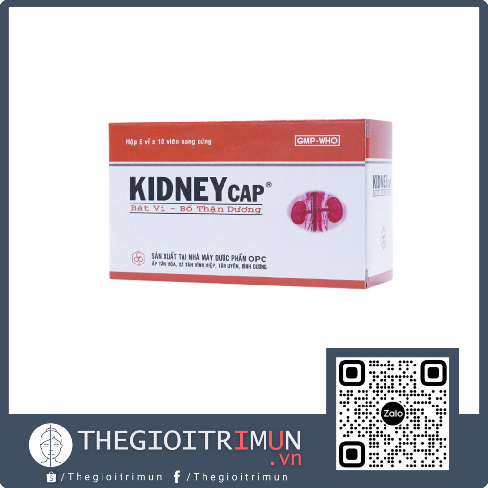Thuốc Kidneycap OPC bát vị, bổ thận dương dùng cho người váng đầu, ù tai