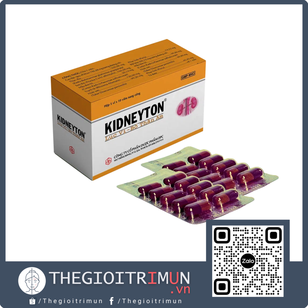 Thuốc Kidneyton OPC dùng cho người tinh huyết suy kém, thắt lưng đầu gối mỏi yếu