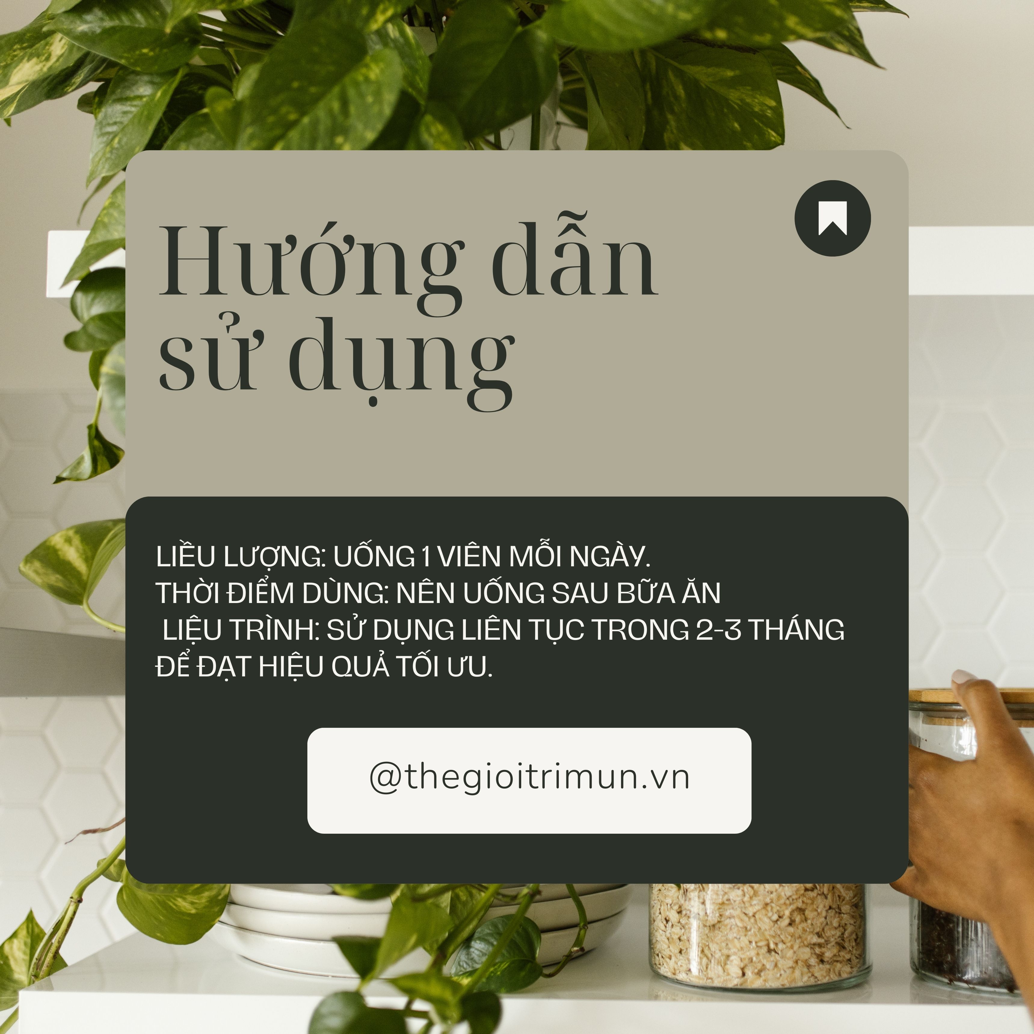 Acnes Plus - Viên uống hỗ trợ trị mụn