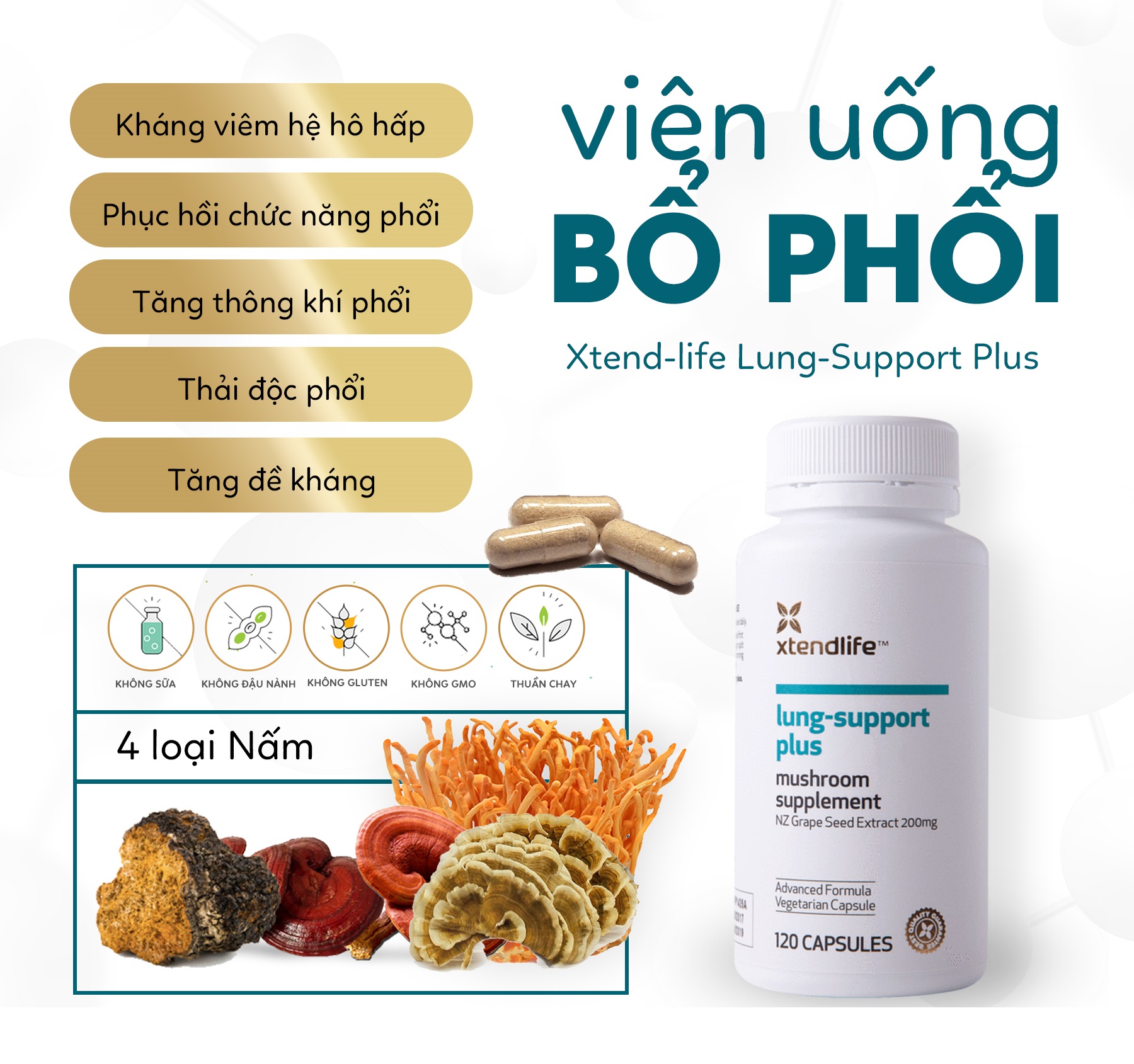 Viên Uống Bổ Phổi Xtend Life Lung Support Plus (120 Viên)