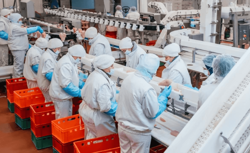 BA LAN - CHẾ BIẾN THỰC PHẨM