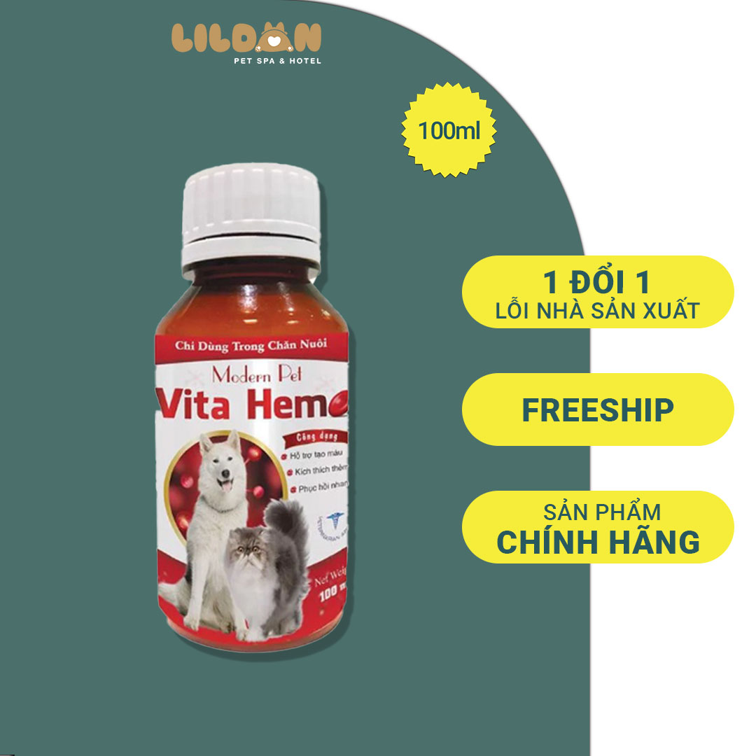 VITA HEM Hỗ Trợ Tạo Máu, Kích Thích Thèm Ăn