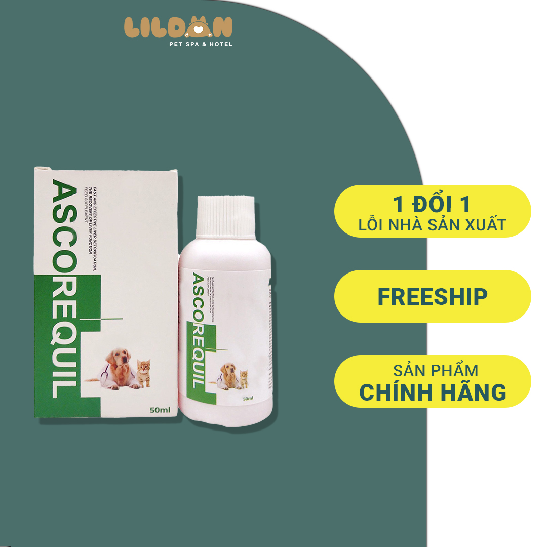 ASCOREQUIL Dung Dịch Uống Hỗ Trợ Chức Năng Gan Và Thải Độc Gan