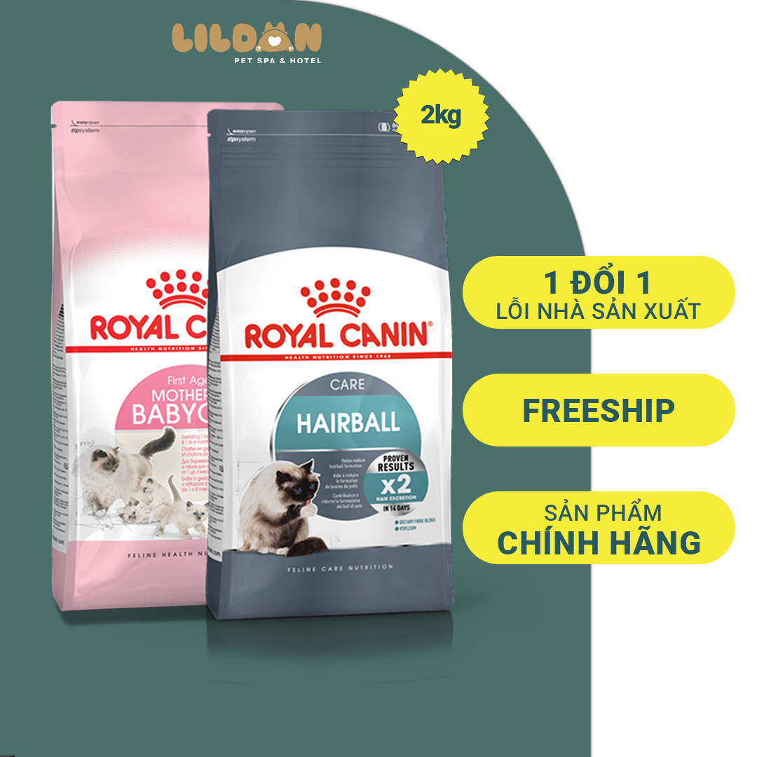 ROYAL CANIN Hairball, Indoor, Fit32, Kitten, Mother & Babycat, Hair & Skin - Thức ăn hạt khô dành cho mèo yêu