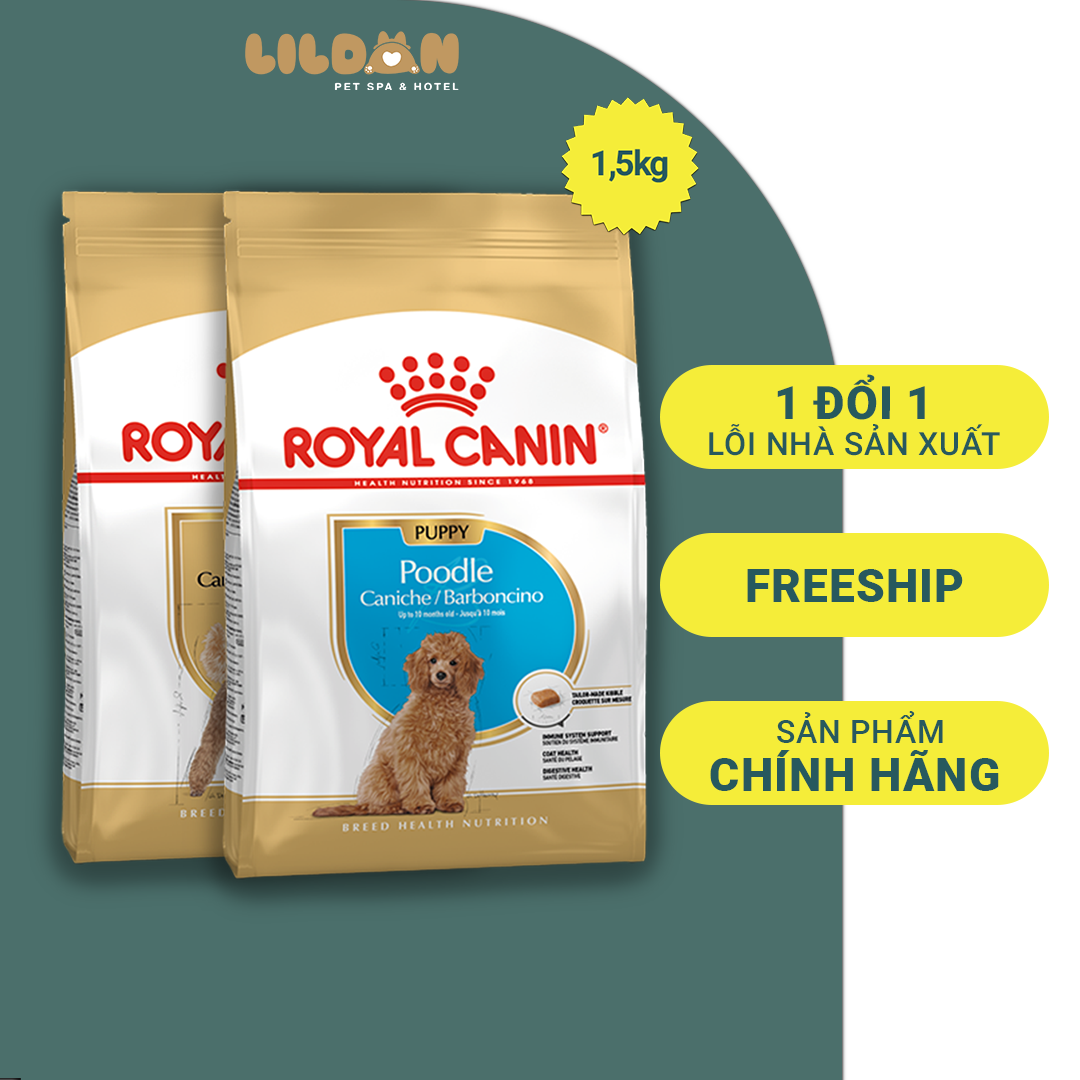 ROYAL CANIN Poodle Puppy, Poodle Adult - Thức Ăn Hạt Khô Dành Riêng Cho Giống Chó Poodle
