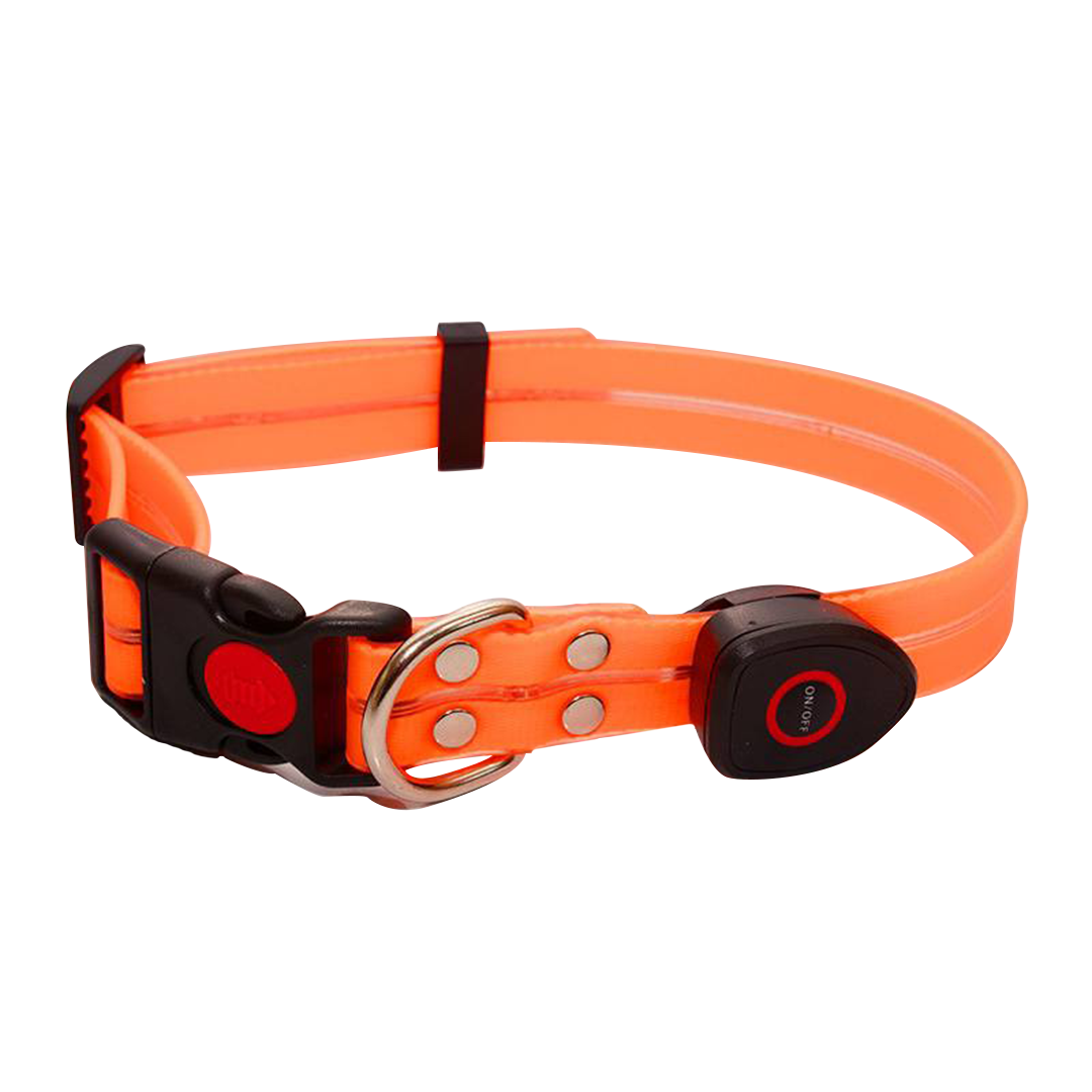 Dây Dẫn Chó Mèo - Vòng Cổ và Dây Dẫn Chó Mèo Có Đèn LED Phát Sáng