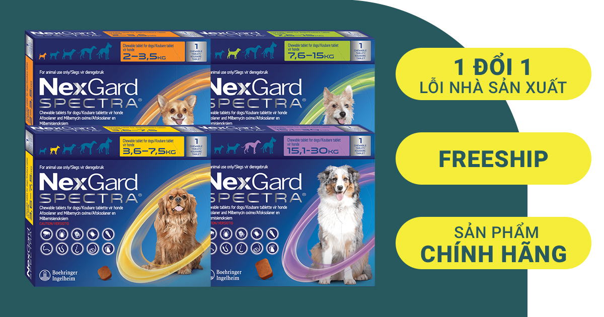 NEXGARD SPECTRA - Viên Trị Nội Ngoại Kí Sinh Trùng