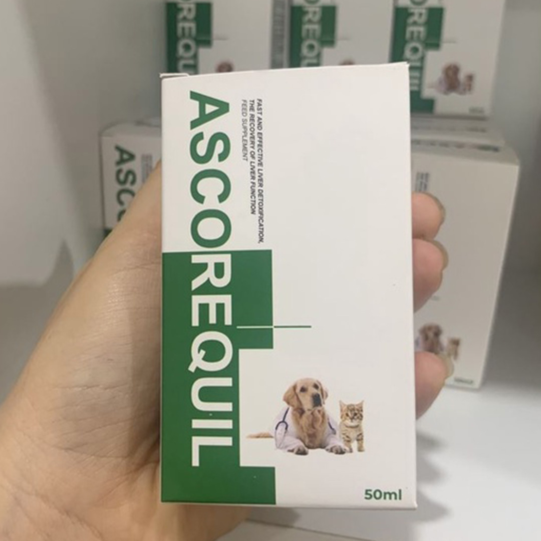 ASCOREQUIL Dung Dịch Uống Hỗ Trợ Chức Năng Gan Và Thải Độc Gan