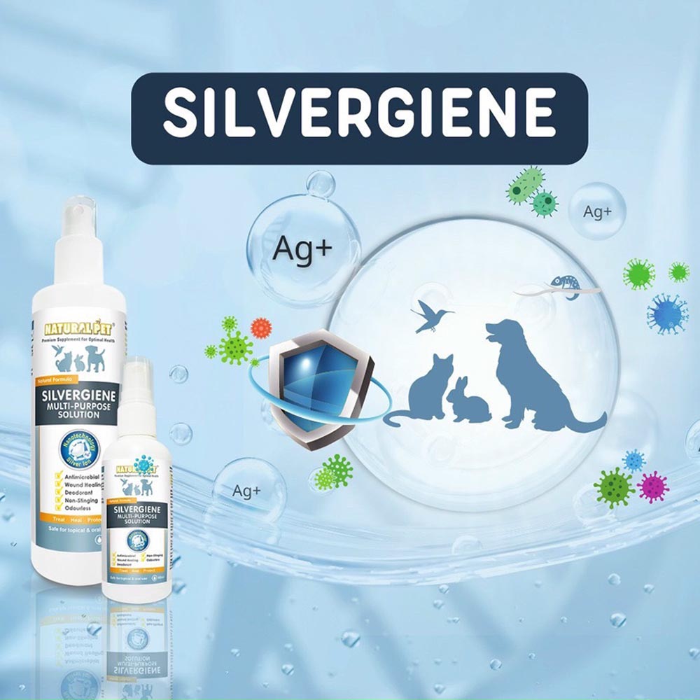 SILVERGIENE Chai Xịt Nano Kháng Khuẩn Đa Năng Cho Chó Mèo
