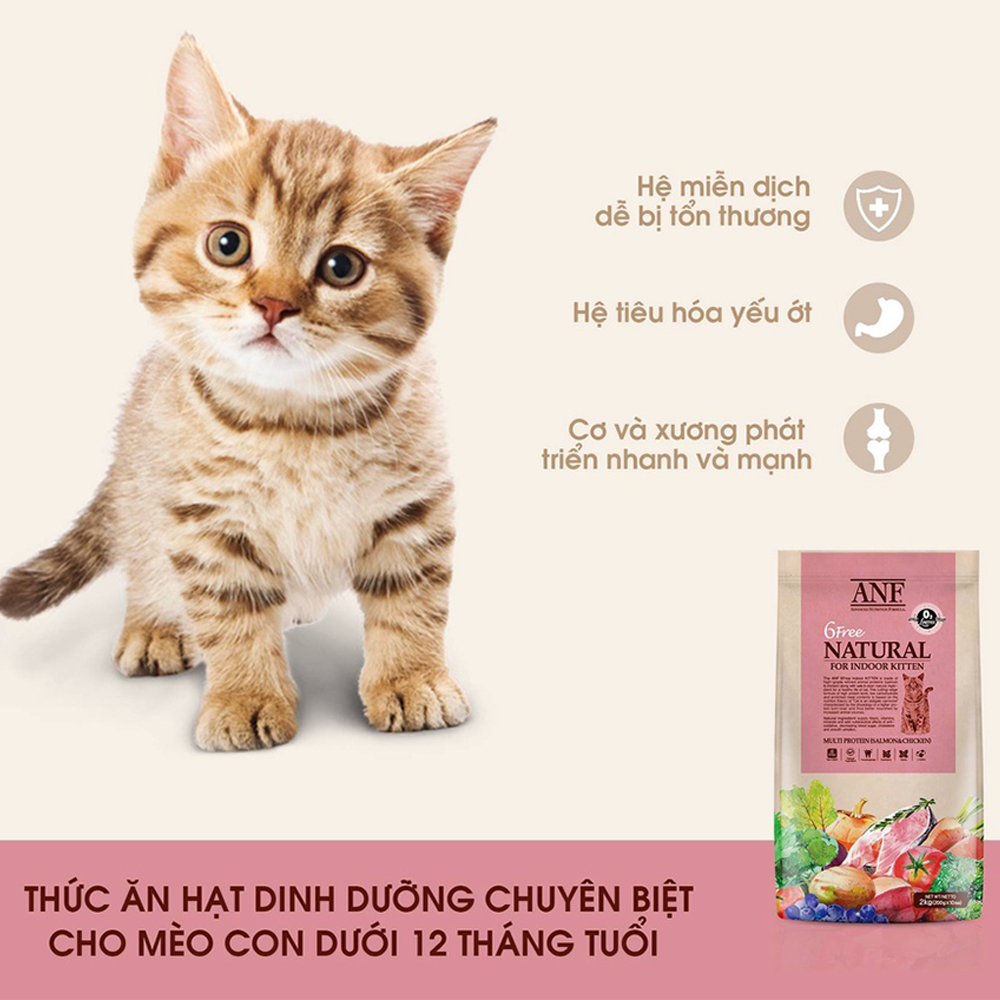 ANF 6Free Thức Ăn Hạt Hữu Cơ Dành Cho Mèo