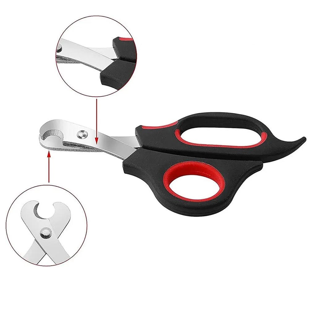 Chăm Sóc Móng - Kềm Cắt Móng Và Dũa Móng Dành Cho Mèo